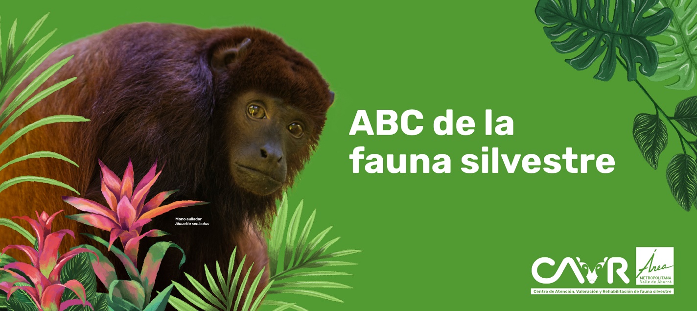 Banner principal ABC Fauna