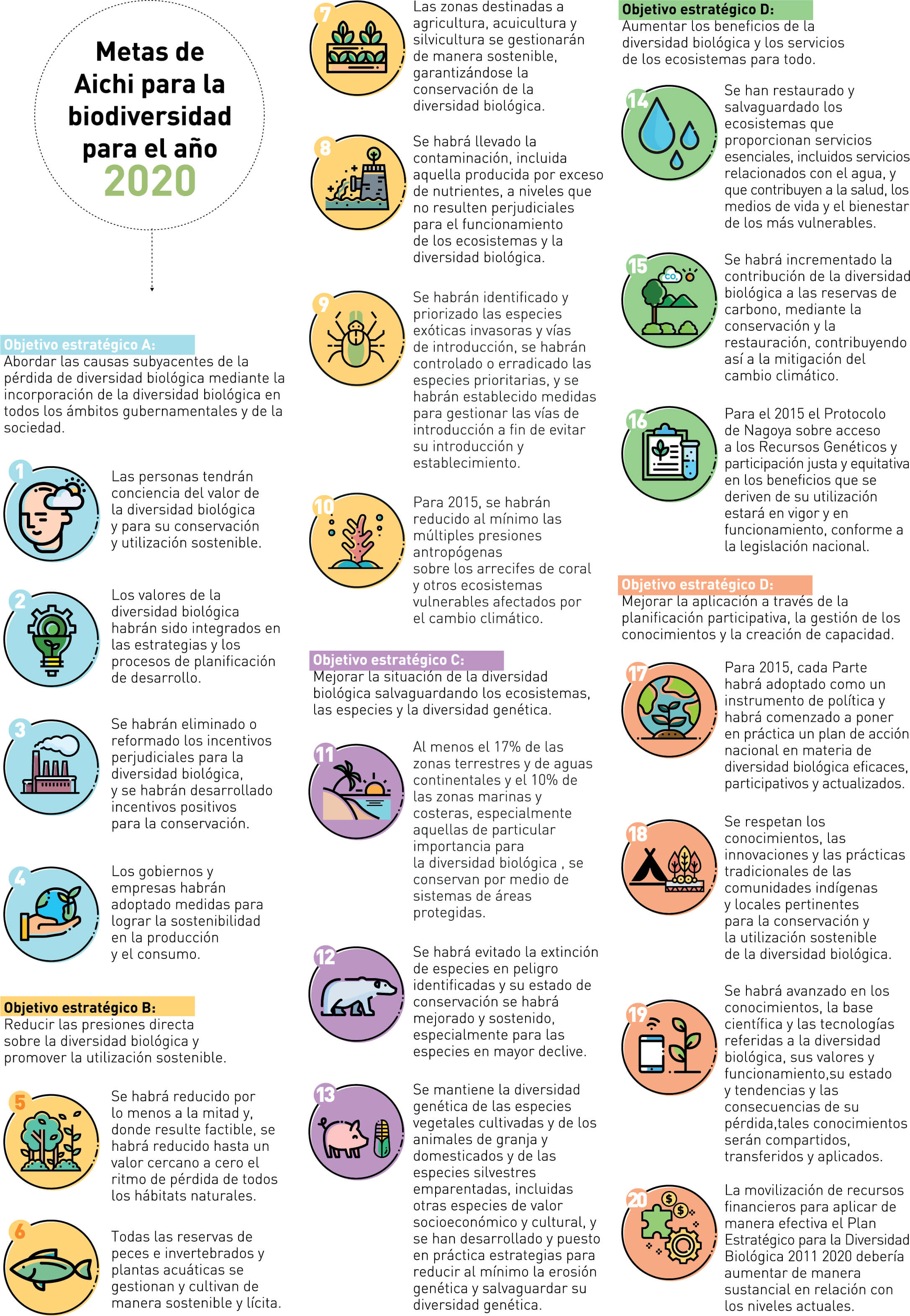 Páginas - COP 14: ¡vamos por el camino correcto!