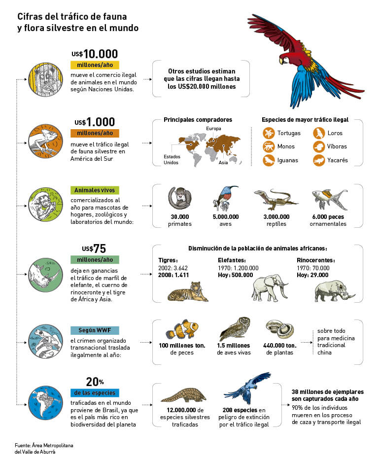 Páginas Atrapados en las redes del tráfico mundial de especies