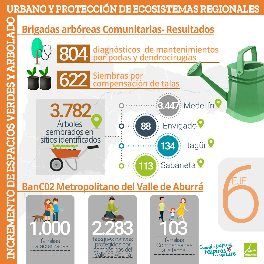 6.2 Protección, restauración y restitución de arbolado urbano, espacio público y ecosistemas.